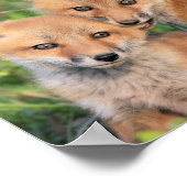 Fox Nom Poster (Hoek)