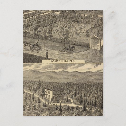 Fox nursery's, res, boomgaard briefkaart (Voorkant)