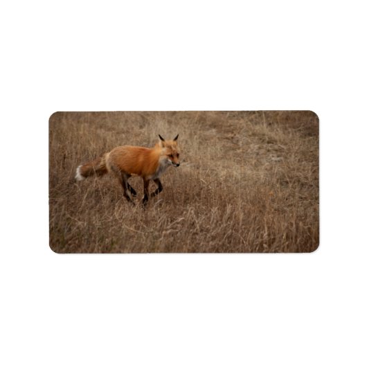 Fox op de run etiket (Voorkant)