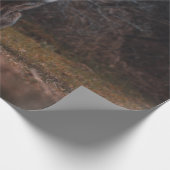 FOX OP GRASSVELD CADEAUPAPIER (Hoek)