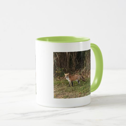 Fox Photo Mug (Devant droit)