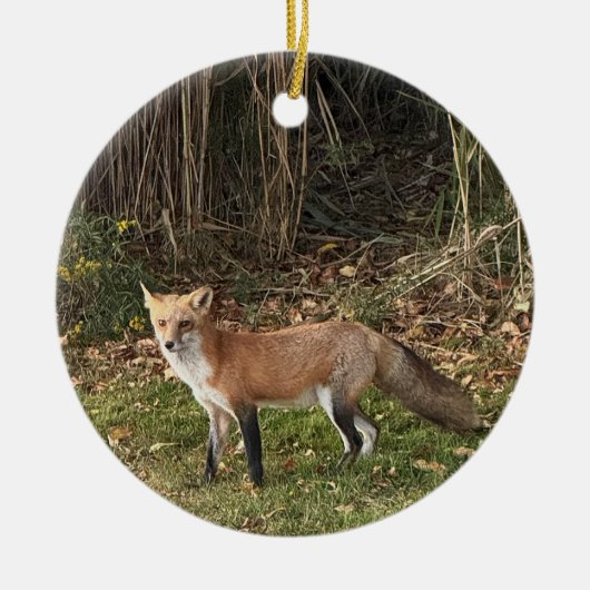 Fox Photo Ornament (Voorkant)