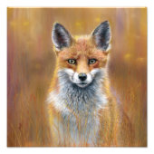 Fox poster (Voorkant)