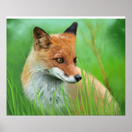 Fox - Poster (Devant)