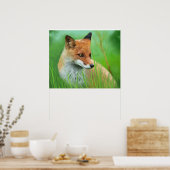 Fox - Poster (Cuisine)