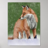 Fox Poster (Voorkant)