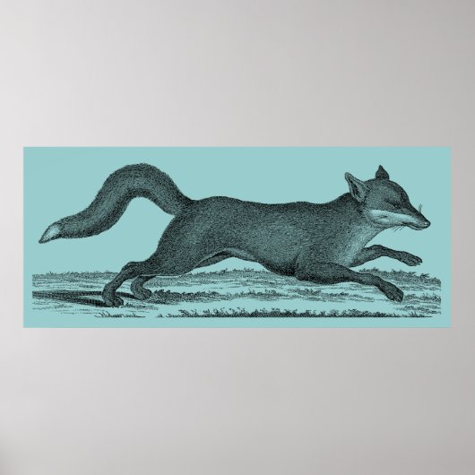 Fox Poster (Voorkant)