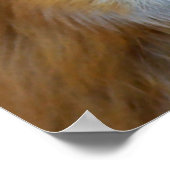 Fox-profiel Poster (Hoek)