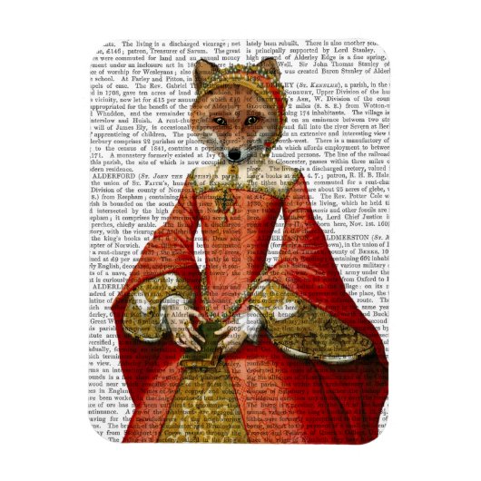 Fox Queen 2 Magneet (Verticaal)