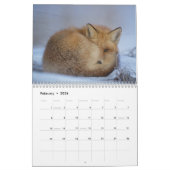 Fox Red Fox Clever Animaux sauvages Calendrier (Feb 2026)
