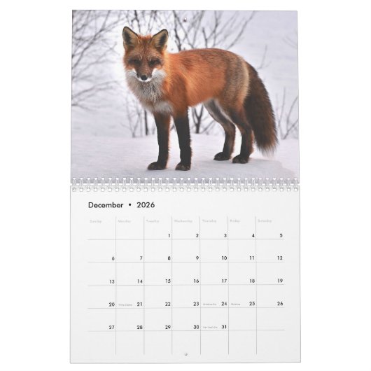 Fox Red Fox Clever Animaux sauvages Calendrier (Dec 2026)