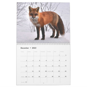 Fox Red Fox Clever Animaux sauvages Calendrier