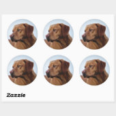 Fox Red Labrador Gundog Ronde Sticker (Vel)