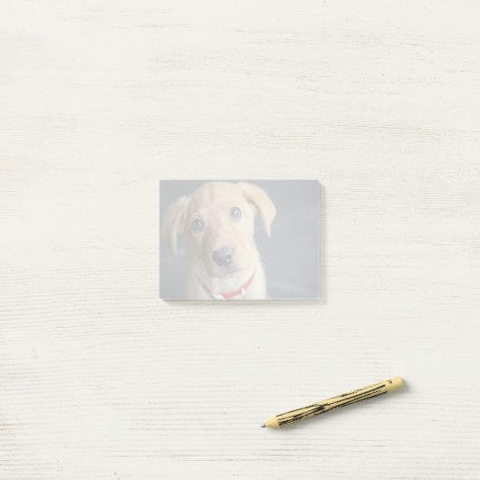 Fox Red Labrador Puppy Post-it® Notes (Op bureau)