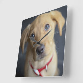 Fox Red Labrador Puppy Vierkante Klok (Hoek)