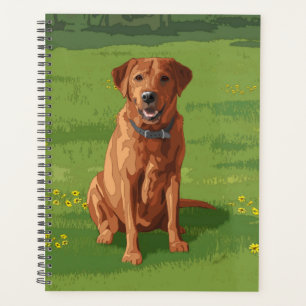 Fox Red Yellow Labrador Retriever Chien