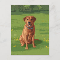 Fox Red Yellow Labrador Retriever Dog