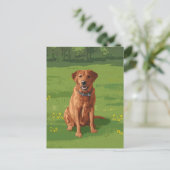 Fox Red Yellow Labrador Retriever Dog Briefkaart (Staand voorkant)