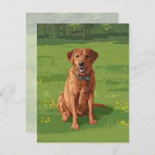 Fox Red Yellow Labrador Retriever Dog Kaart