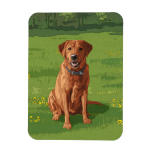 Fox Red Yellow Labrador Retriever Dog Magneet