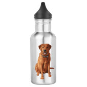 Fox Red Yellow Labrador Retriever Dog Waterfles (Links)