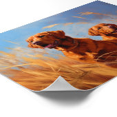Fox rode labrador retrievers poster (Hoek)