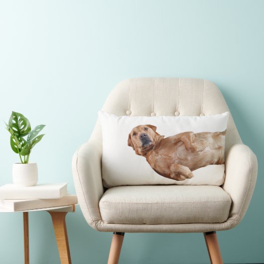 Fox rouge coussin du Labrador (Chaise)