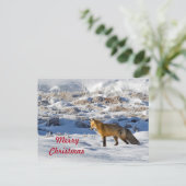 Fox Sneeuwfoto Kerstmis Briefkaart (Staand voorkant)