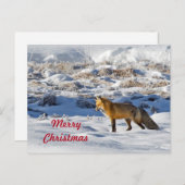 Fox Sneeuwfoto Kerstmis Briefkaart (Voorkant / Achterkant)