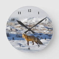 Fox Sneeuwfoto