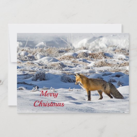  Fox Sneeuwfotokerstflaag Feestdagenkaart (Voorkant)