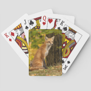 Fox-speelkaarten bekijken pokerkaarten