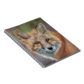 Fox spiraal gebonden notitieboek (Rechterzijde)