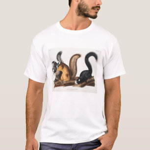 Fox Squirrel Camping Deco Gifts T-shirt