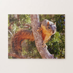 Fox Squirrel Natuur Dierenpuzzel Legpuzzel