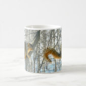 Fox Squirrel Profile (Winter) Mok (Center)