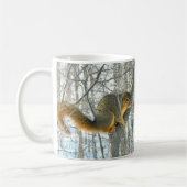 Fox Squirrel Profile (Winter) Mok (Links)