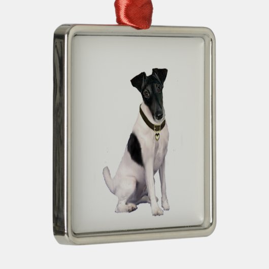 Fox Terrier (A) - Smooth - zwart-wit Metalen Ornament (Rechts)