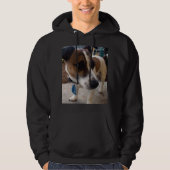 Fox Terrier, Attraction Mens Sweat - shirt à capuc (Devant)