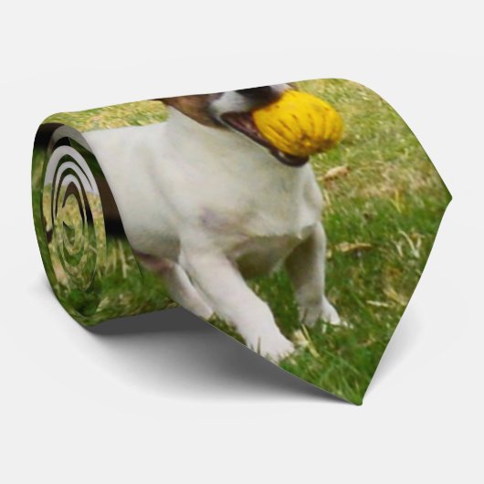 Fox Terrier Avec Son Bal Jaune, Mens Cravate Silen (Roulé)