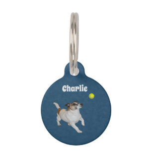 Fox Terrier Ball Trance, Pet Tag Huisdierpenning
