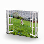 Fox Terrier Come Play, Bloc Photo (Droite)