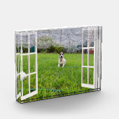 Fox Terrier Come Play, Bloc Photo (Gauche)
