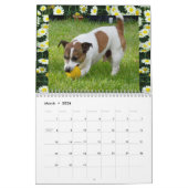 Fox Terrier Come Play, Calendrier (Mar 2026)