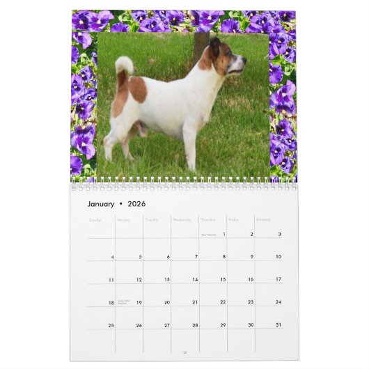 Fox Terrier Come Play, Calendrier (Jan 2026)