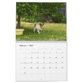 Fox Terrier Come Play, Calendrier (Feb 2027)