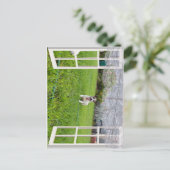 Fox Terrier Come Play, Carte Postale (Debout devant)