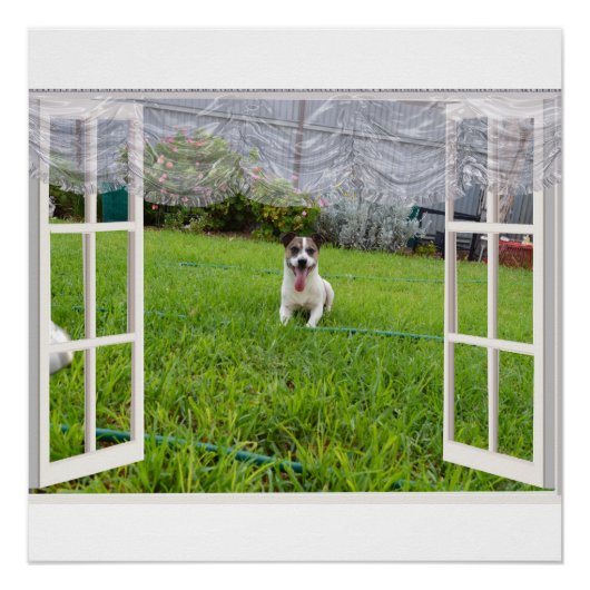 Fox Terrier Come Play, Poster (Devant)