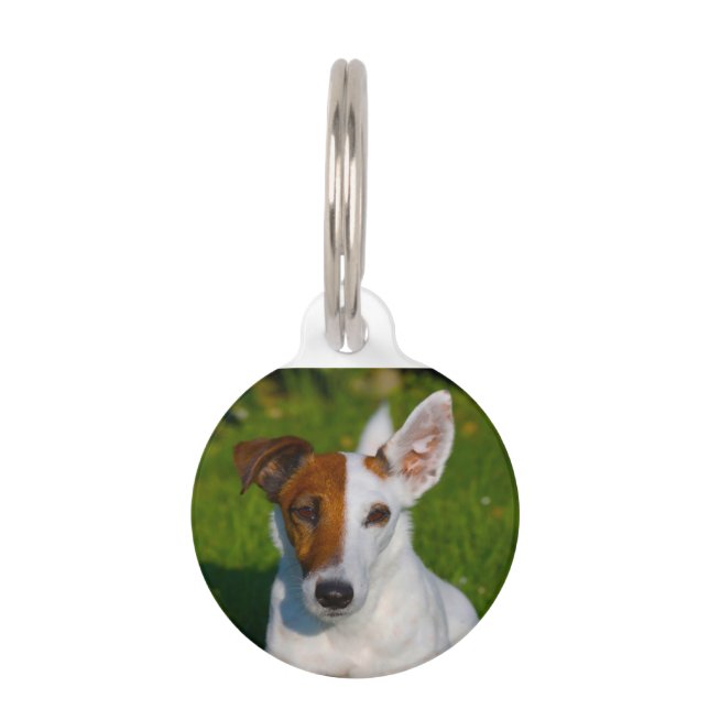 Fox Terrier Dog. Huisdierpenning (Voorkant)