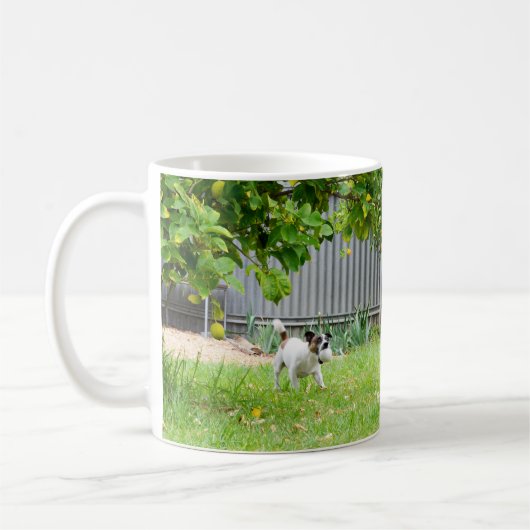Fox Terrier, Drôle visage effrayant, Mug café blan (Gauche)